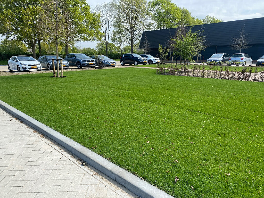 groen-image